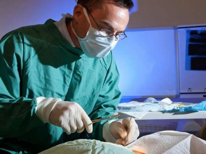 Обрезание у мужчин стоимость операции